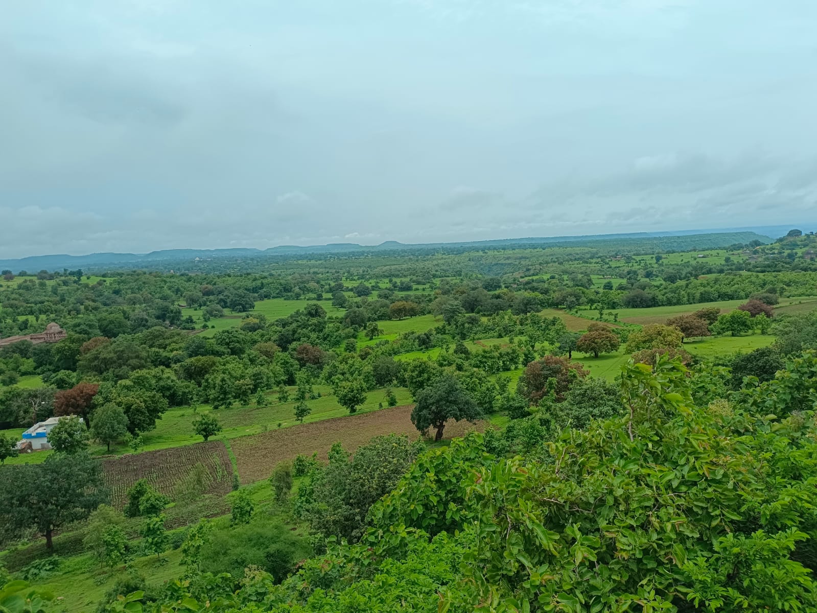 सुबह सोच -प्रथम  सम्पादकीय